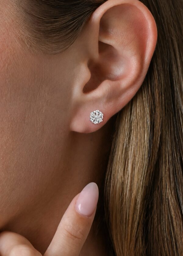 3c1aa3eb-15f3-4a37-98f3-c1680a5fd323-3 Aretes Copos