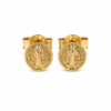 7D137121-066B-4F3C-9DD1-40CBC2BC5DF4 Aretes San Benito