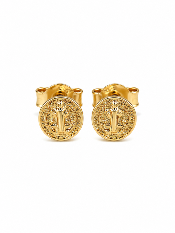 7D137121-066B-4F3C-9DD1-40CBC2BC5DF4 Aretes San Benito