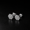 b001a0d7-e312-4f07-a300-47851884c4ad Aretes Copos