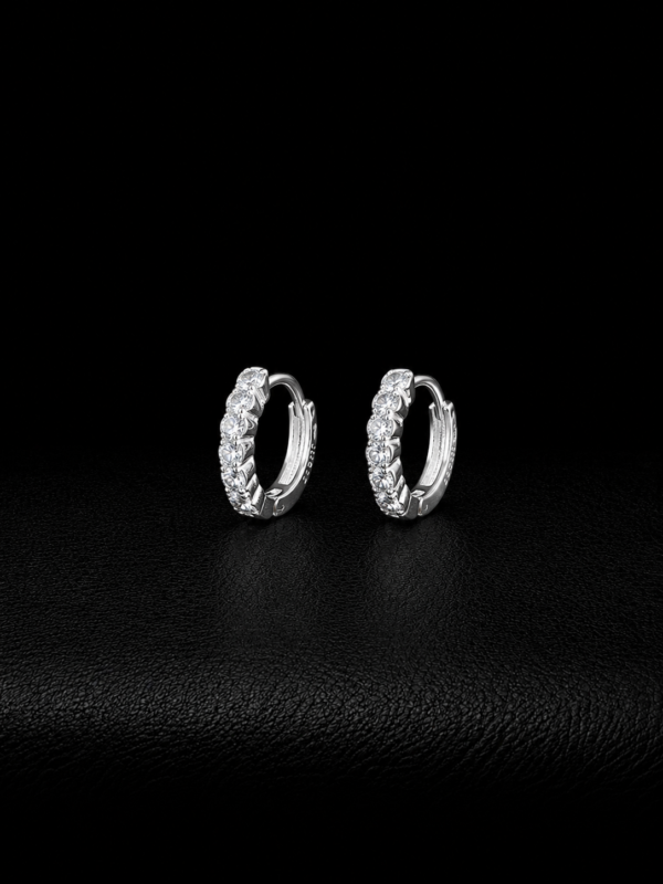 69d4bee5-2327-435d-b1c3-f512c9335004 Set Aretes Plata